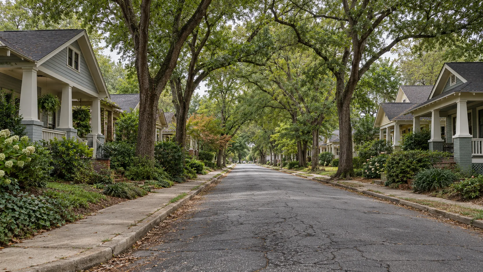A narrow older residential street lined with early twentieth century wood frame cottages and small craftsman houses with deep front porches, under mature hardwoods in soft overcast light