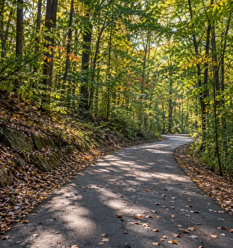 A paved rail trail curving through tall hardwoods on an early autumn morning in south Cobb County.